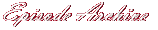 Episode Archive